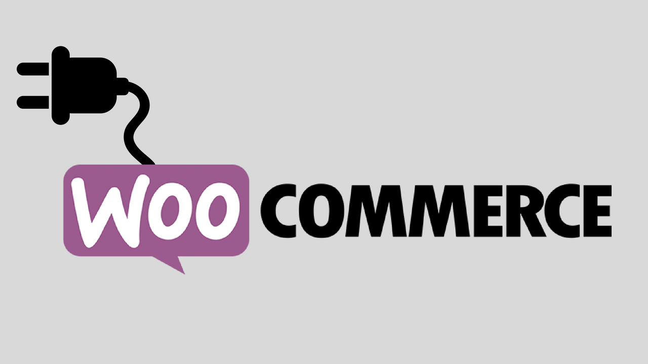 Read more about the article Best WooCommerce Plugins for Your Store